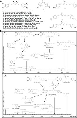 Identifying of Anti-Thrombin Active Components From Curcumae Rhizoma by Affinity-Ultrafiltration Coupled With UPLC-Q-Exactive Orbitrap/MS